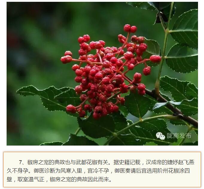 蘭渝鐵路最早由孫中山先生提出？在隴南，你不知道的事兒還有……