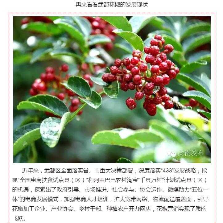 5.28億！一場盛會，武都花椒“火”了