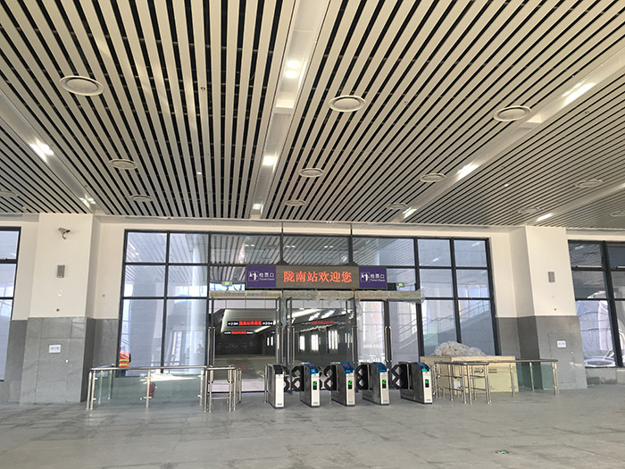 全國、省市政協(xié)委員體驗(yàn)蘭渝鐵路、視察階州廣場