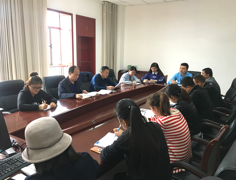 市龍江城鄉(xiāng)發(fā)展集團(tuán)專題學(xué)習(xí)近期中央、省、市紀(jì)律檢查委員會議精神