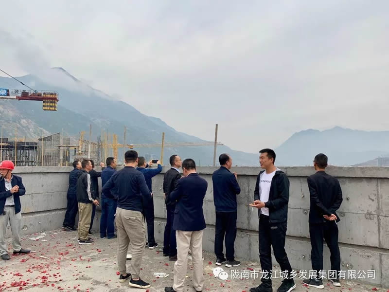 匠心傾注、喜封金頂——龍江?雙子座商住小區(qū)主體順利封頂