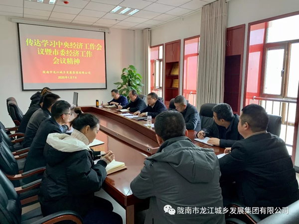 市龍江集團傳達學習市委四屆十次全會暨市委經(jīng)濟工作會議精神