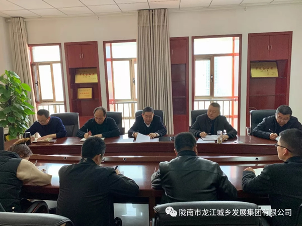 市龍江集團傳達學習市委四屆十次全會暨市委經(jīng)濟工作會議精神