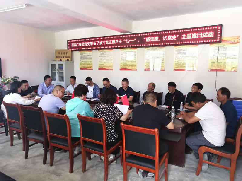 “感黨恩、憶黨史”，--市龍江城鄉(xiāng)發(fā)展集團(tuán)公司開(kāi)展慶祝建黨99周年主題黨日活動(dòng)