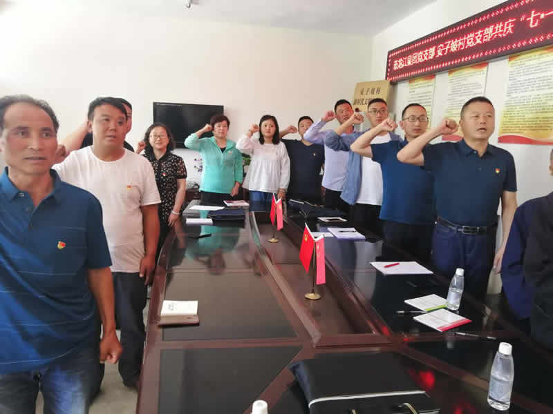 “感黨恩、憶黨史”，--市龍江城鄉(xiāng)發(fā)展集團(tuán)公司開(kāi)展慶祝建黨99周年主題黨日活動(dòng)